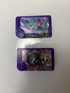 ポケモンメザスタ ボーマンダ メタグロス 2枚セットのサムネイル