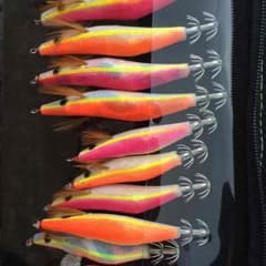 エギ10個セットのサムネイル