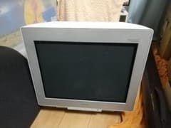 m65713320892_1.jpg?1702895055