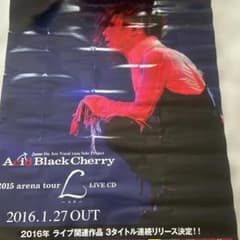 Acid Black Cherry 2015 arena tour L ポスター - メルカリ