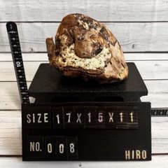 北海道産　天然流木　アクアリウム　沈水確認済み　NO.8のサムネイル