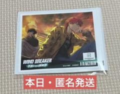 WIND BREAKER 윈브레 라벨 캔 級石矢