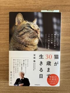 猫が30歳まで生きる日のサムネイル