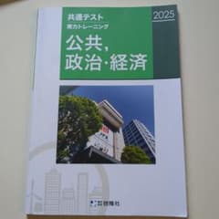 2025 共通テスト 公共、政治・経済のサムネイル