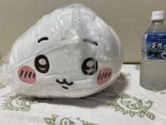 치이카와 프리미엄 돔 쿠션