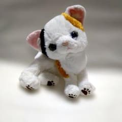 中古品】PUPS！三毛猫 ぬいぐるみ 子猫¥650→¥600 - メルカリ