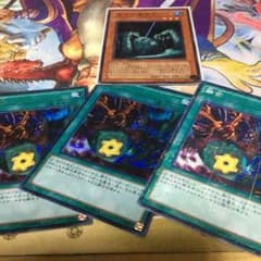 融合3枚 沼地 セット シクのサムネイル