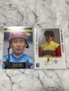 柴田善臣 カード 2枚のサムネイル