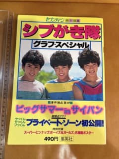 94 【昭和57年】シブがき隊 グラフスペシャル セブンティーン特別編集のサムネイル