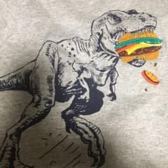 GAP 長袖Ｔシャツ   95 恐竜のサムネイル