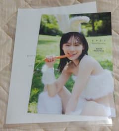 乃木坂46 山下美月 2nd写真集 ヒロイン アザーカット ミニブック