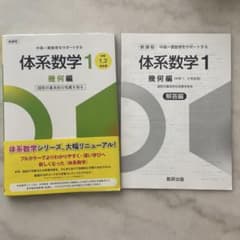 体系数学1 幾何編 中学1,2年生用 解答編付きのサムネイル