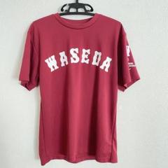 早稲田 Tシャツ 東京六大学野球 BIG6 サイズL - メルカリ