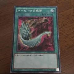 ハーピィの羽根箒のサムネイル
