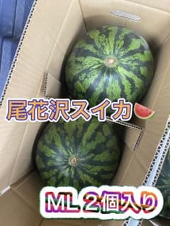 もぎたて！尾花沢スイカ ML 2個入りのサムネイル