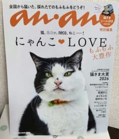 猫さまの本 3月3日購入 保存期間なくほぼ新品♥ - メルカリ