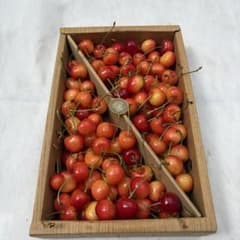13本日収穫最終日　山形県産　さくらんぼ　1kg 紅秀峰　Lサイズ以上　訳あり品のサムネイル