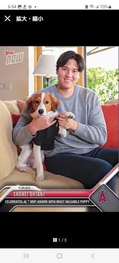 Topps Now 大谷翔平 MVP 記念カード 愛犬 デコピンのサムネイル