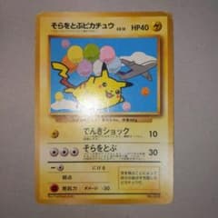 そらをとぶピカチュウ_ANA 「ジェットでゲットだ！Wチャンス