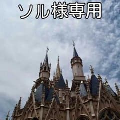 ソル様専用のサムネイル