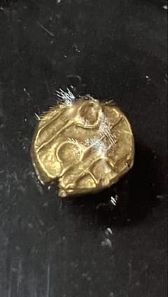 貨幣語り】南インド・マイソール王国 極小金貨ファナム／NGC鑑定AU58