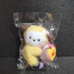 희귀 레어 BT21 미니 플래쉬 키링 부케 CHIMMY