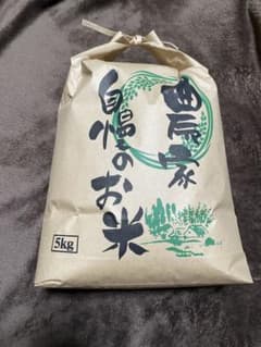 令和8年産新米コシヒカリ5kg 農家直送　減農薬栽培のサムネイル