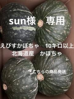 えびすかぼちゃ 箱込み約10キロ以上のサムネイル