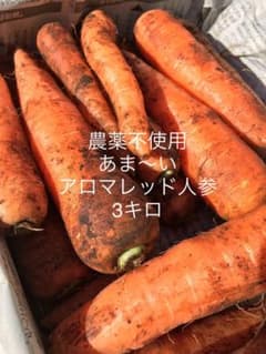 農家直送！あま〜いアロマレッド人参☺︎農薬不使用【3キロ】のサムネイル
