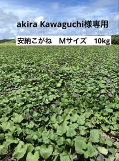 種子島産安納芋こがね【減農薬】Ｓサイズ　10kgのサムネイル