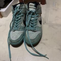 NIKESB DUNHIGHPROSB SeaCrysta 305050-301のサムネイル