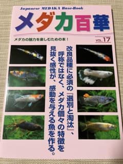 メダカ百華 Vol.17 改良メダカ専門誌のサムネイル