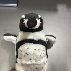 ペンギン ぬいぐるみのサムネイル