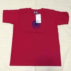 THE NORTH FACE Tシャツのサムネイル
