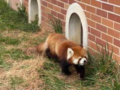 せーら様専用のサムネイル