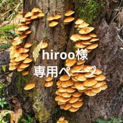 肉厚なめこ（着払いクール便）のサムネイル