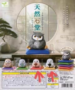 天然石堂 ふくろう 色違いセット - メルカリ