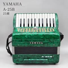 中古良音】YAMAHA アコーディオン 鍵盤 21ベース 30鍵盤 8905 ソフト