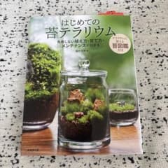 はじめての苔テラリウムのサムネイル