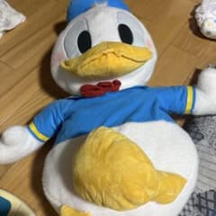 ドナルドのサムネイル