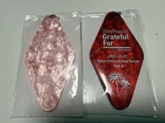 スカイピース キーホルダー Grateful Forのサムネイル
