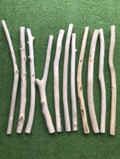 ツルツル流木11本セット⑩  加工済み(o^^o)のサムネイル