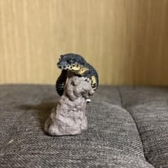 トカゲ フィギュア ガチャガチャのサムネイル
