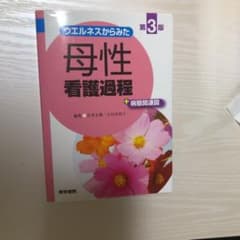 ウエルネスからみた 母性看護過程 第3版 +病態関連図のサムネイル