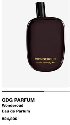 WONDEROUD コムデギャルソン パフューム 香水 ワンダーウード 100