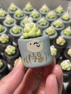 yukisho様専用のサムネイル