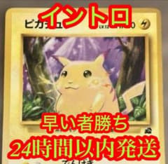 旧裏 イントロパック ピカチュウ ライチュウ ゼニガメ フシギダネ 他10枚 極美品 ピカチュウ＆ライチュウセットイントロパック ポケモンカード