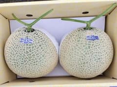 高知産 温室マスクメロン 2玉 約4，7kg（箱込み） 秀品 北海道沖縄