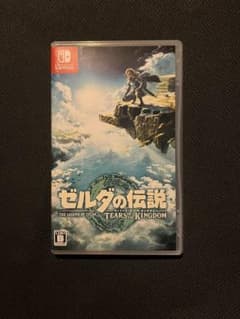 티아킨 Switch 젤다의 전설 티어스 오브 더 킹덤
