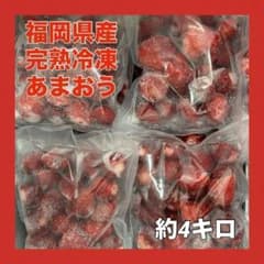 冷凍あまおう 約4kg 福岡県産 業務用 大容量 スムージー用 クール便 